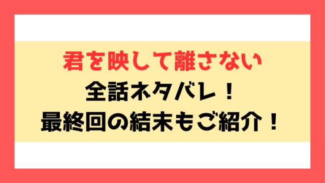 『君を映して離さない』ネタバレと感想！最終回・結末までご紹介！