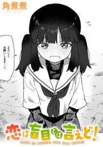 恋は盲目とは言えど!(角煮煮)無料rawやhitomiでの無断転載について調査!