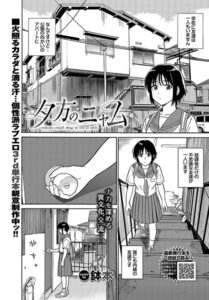 夕方のニャム(鉢本)無料rawやhitomiでの無断転載について調査！