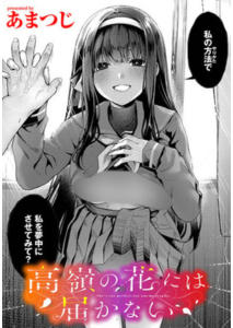 高嶺の花には届かない(あまつじ)無料rawやhitomiでの無断転載について調査！